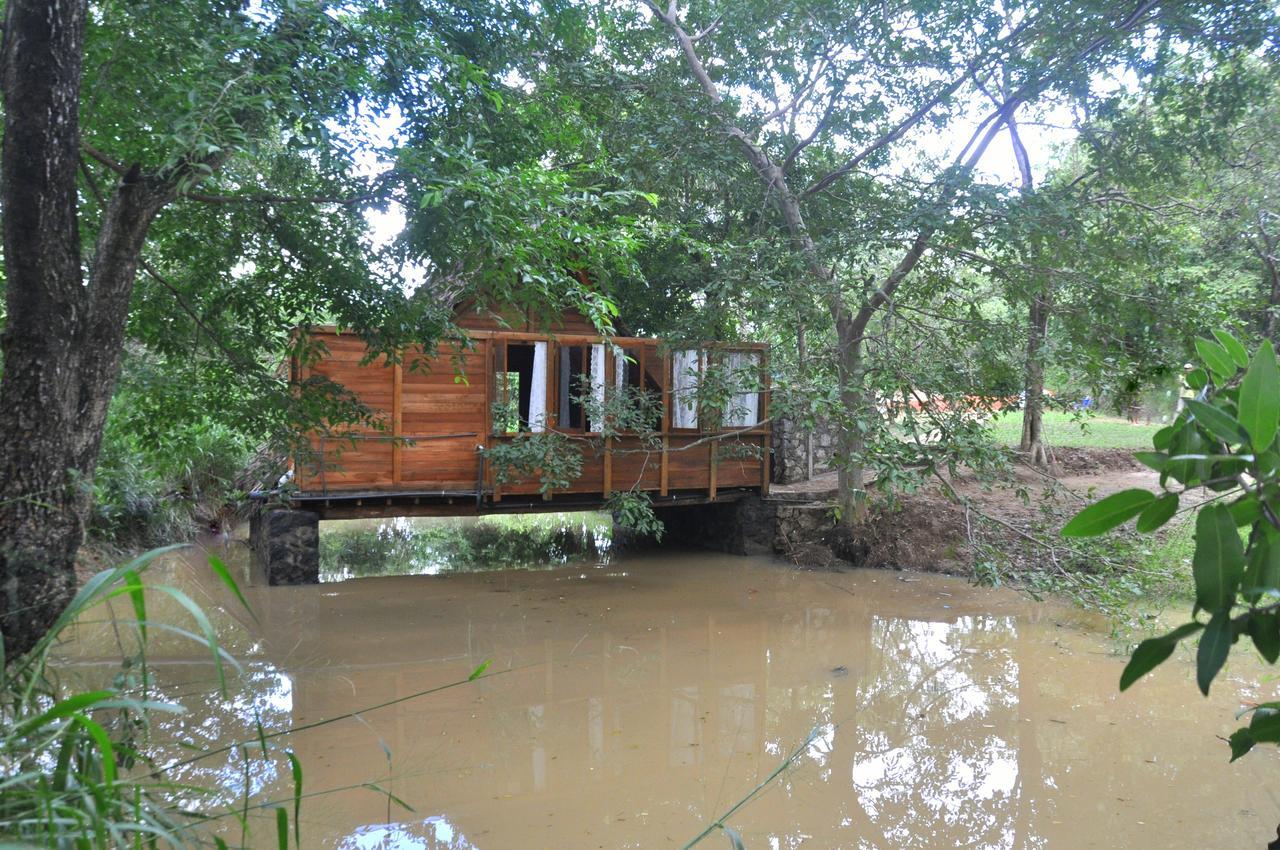 Raintree Villa Dambulla Exterior photo