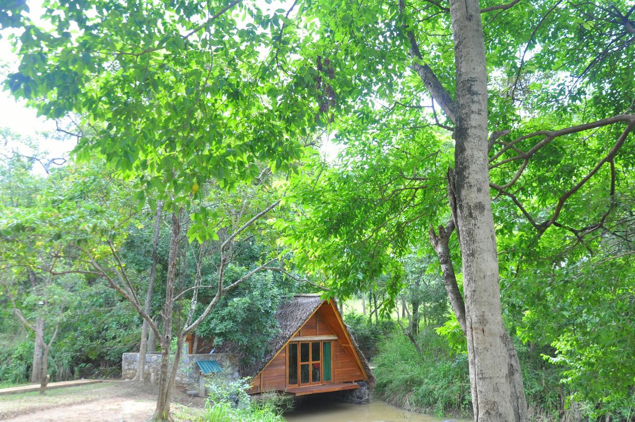 Raintree Villa Dambulla Exterior photo