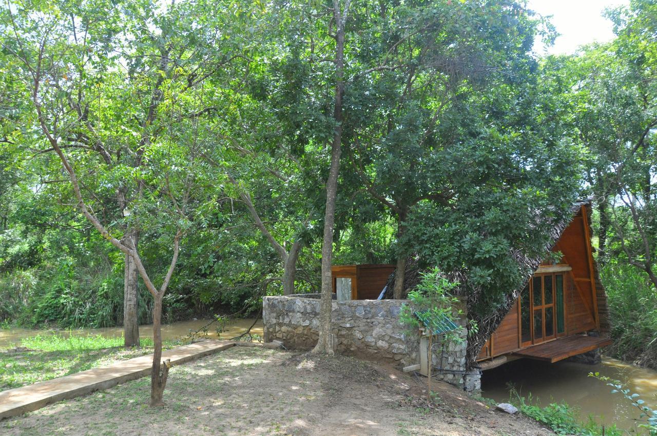 Raintree Villa Dambulla Exterior photo