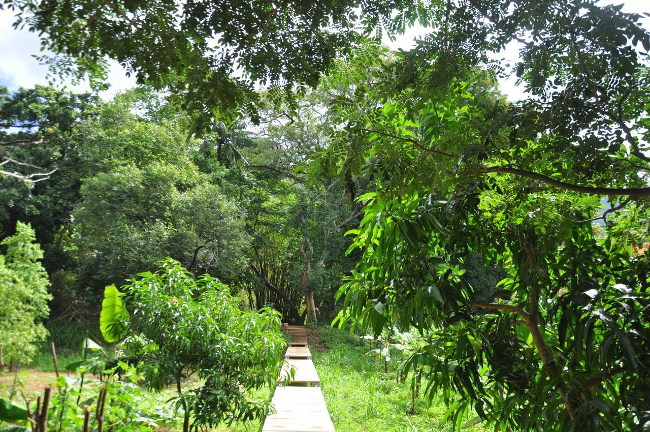 Raintree Villa Dambulla Exterior photo