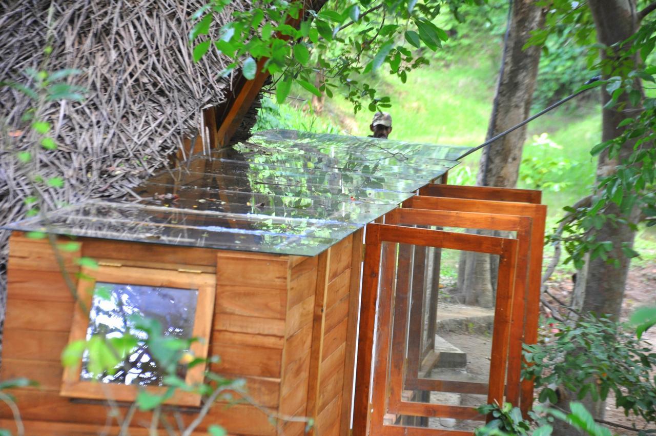Raintree Villa Dambulla Exterior photo