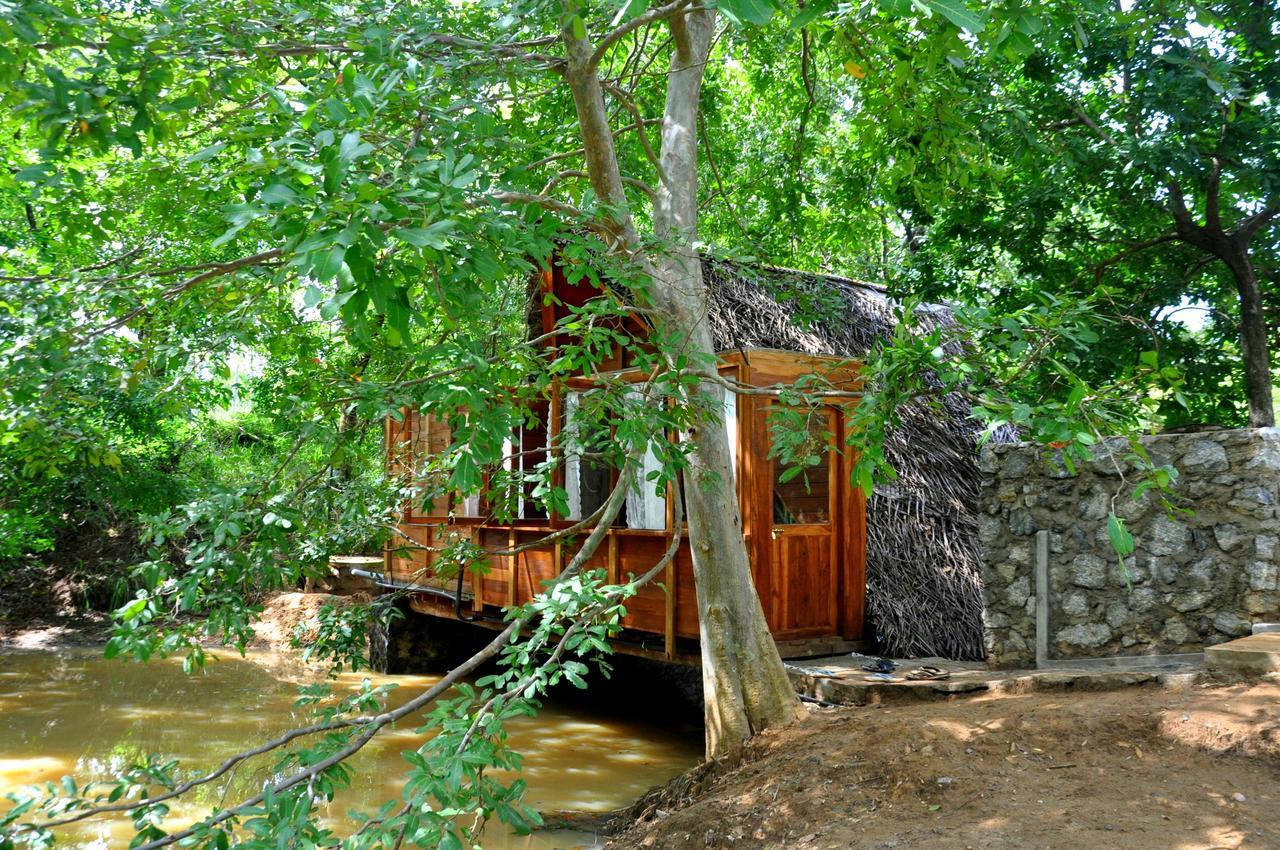 Raintree Villa Dambulla Exterior photo
