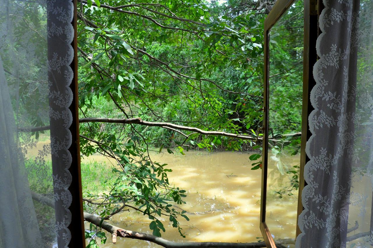 Raintree Villa Dambulla Exterior photo