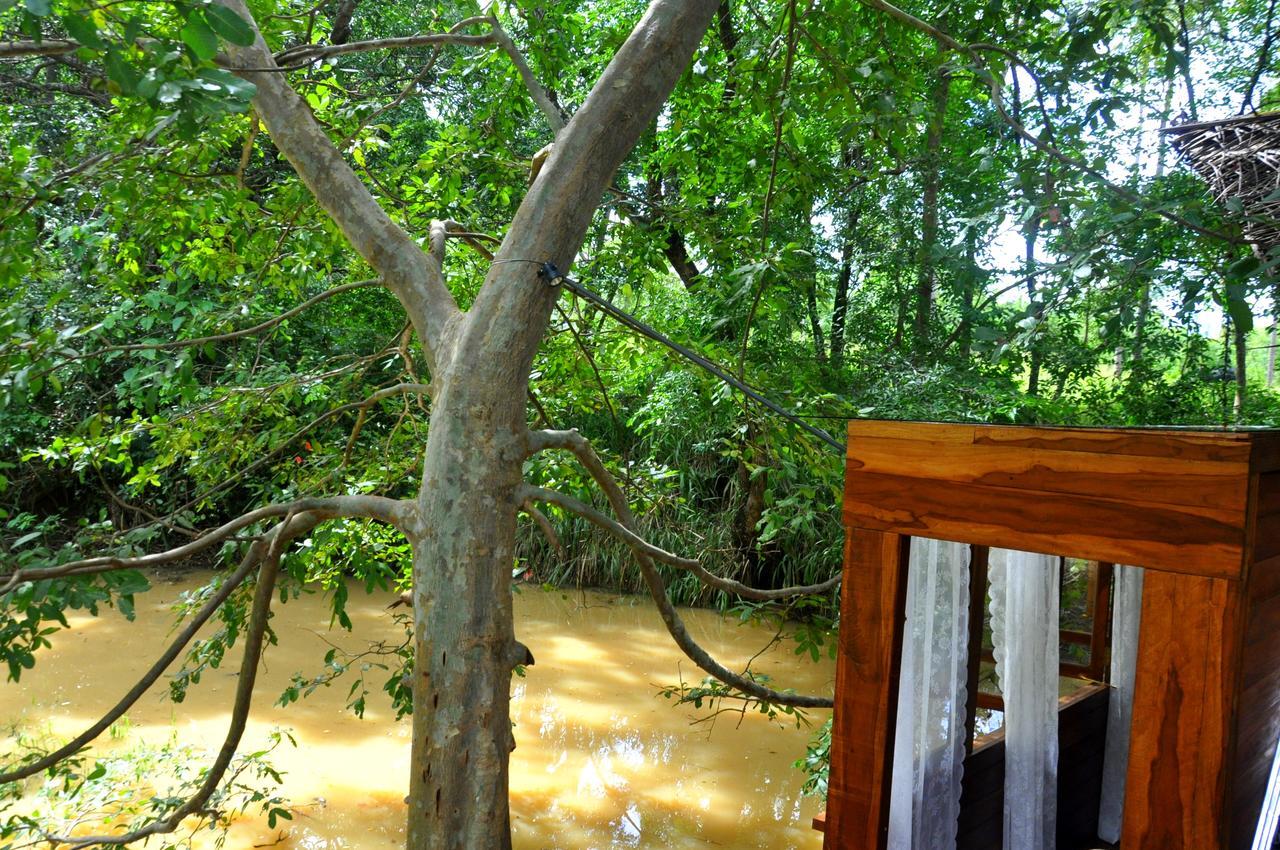Raintree Villa Dambulla Exterior photo
