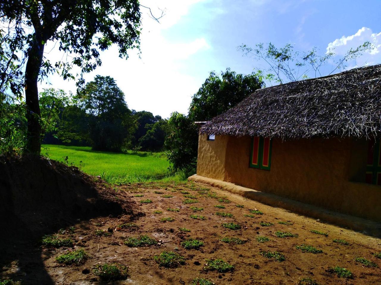 Raintree Villa Dambulla Exterior photo