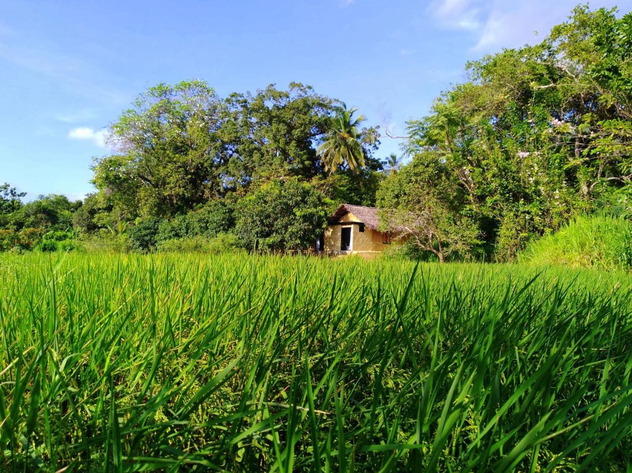 Raintree Villa Dambulla Exterior photo
