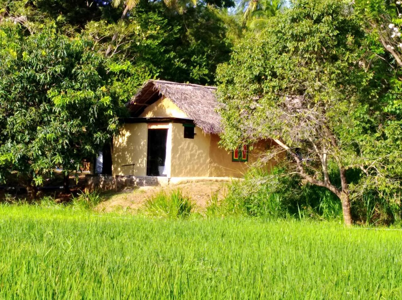 Raintree Villa Dambulla Exterior photo