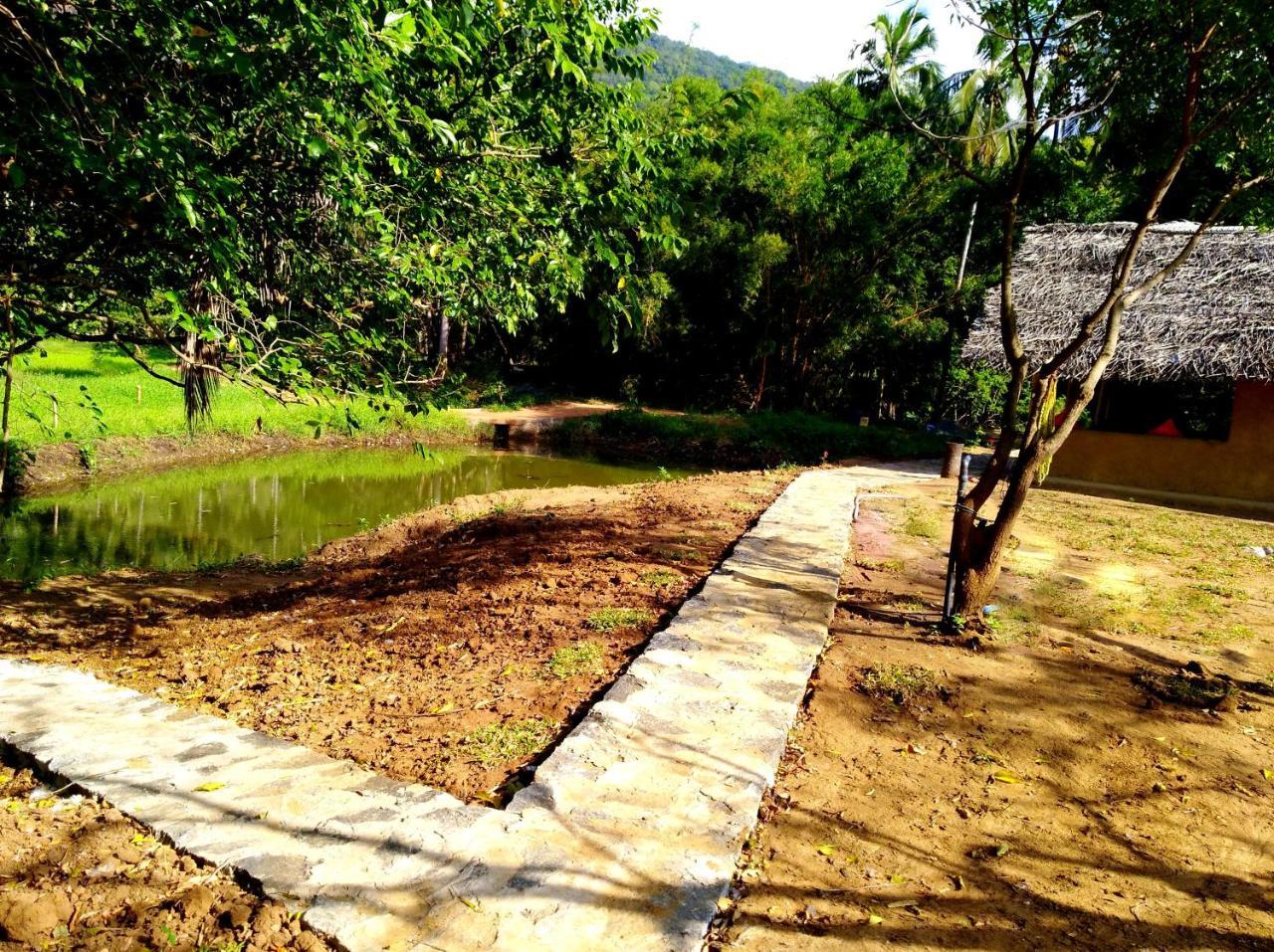 Raintree Villa Dambulla Exterior photo